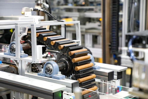 以科技创新为新质生产力发展蓄势赋能——信息科技领域技术开发的前景与路径